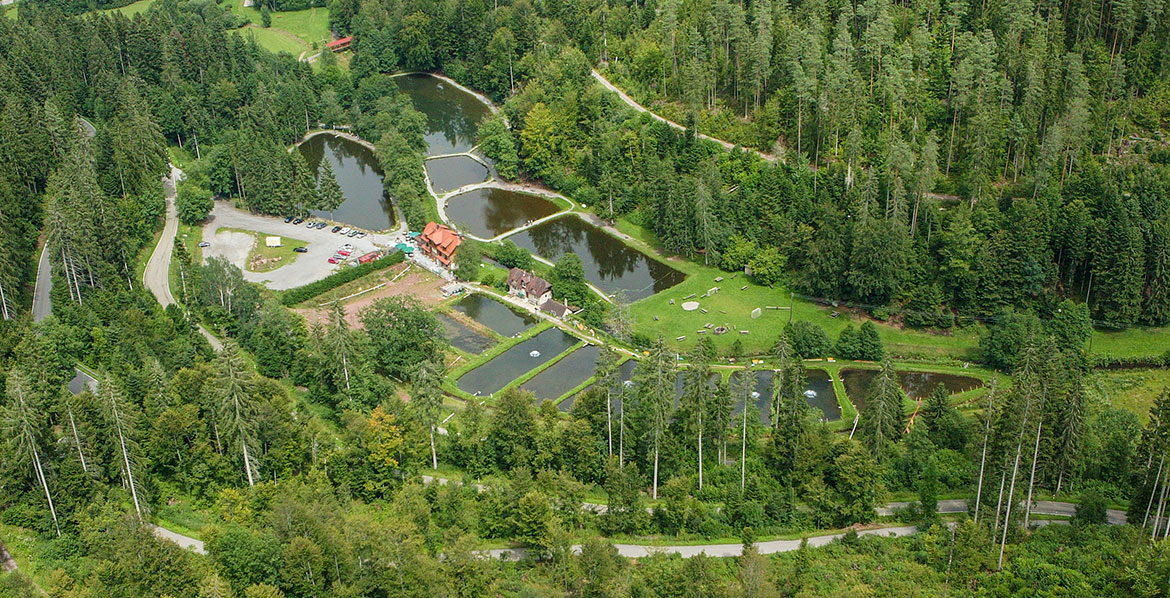 Fischhaus & Angelpark Letscher