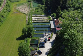 Forellenteich Obermarchtal