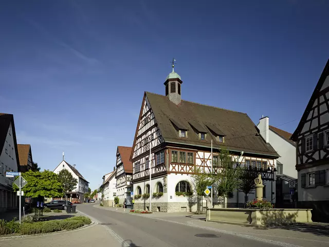 Forellenteich Hirschfeldsee in Oedheim