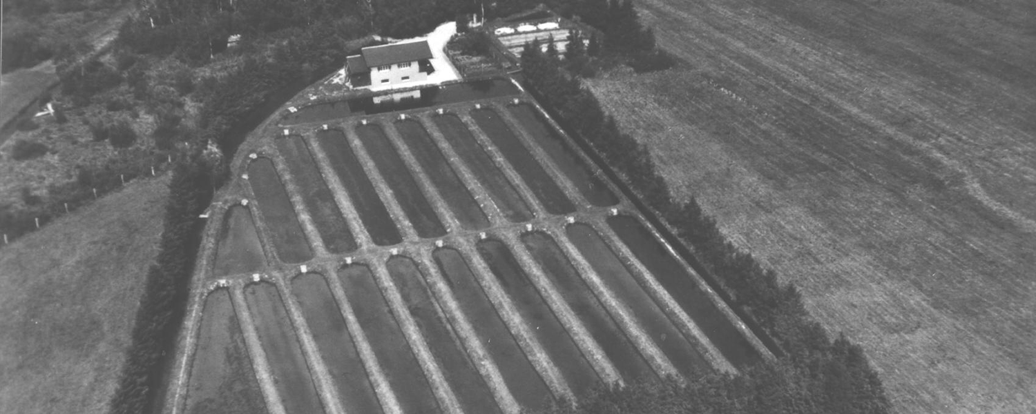 Fischgut Waldheim & Petrihof