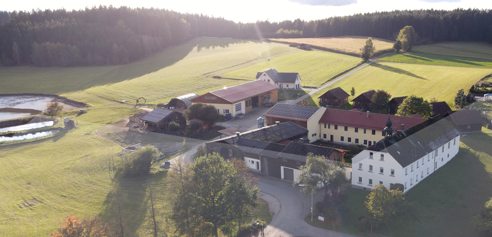 Gowerlhof