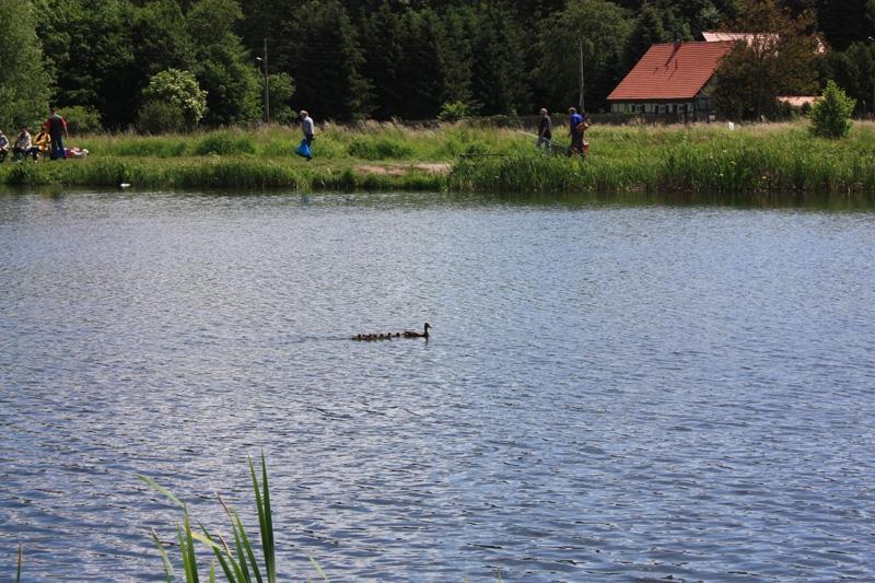Niemegk Werdermühle