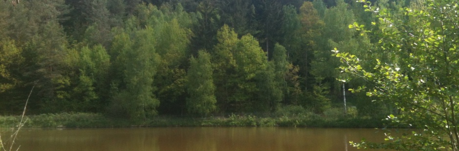 Angelpark-Vogelsberg
