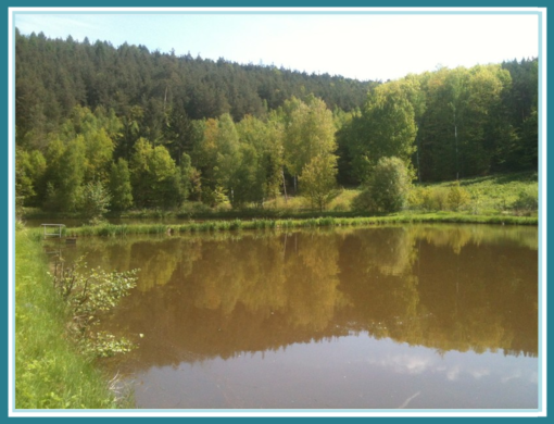 Angelpark-Vogelsberg