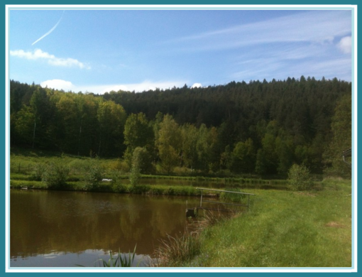 Angelpark-Vogelsberg