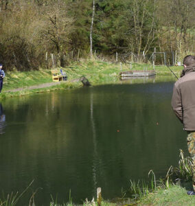 Teichanlage Finkenbachtal