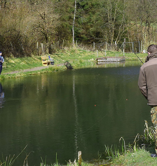 Teichanlage Finkenbachtal