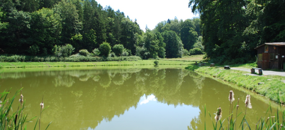 Fischzucht Heydenhahn