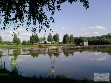 Angelteich Weselsdorf