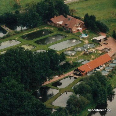 Artländer Forellenzucht & Angelteiche