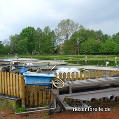 Artländer Forellenzucht & Angelteiche