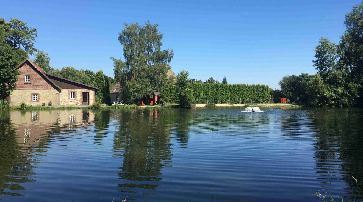 Forellenzucht Melle