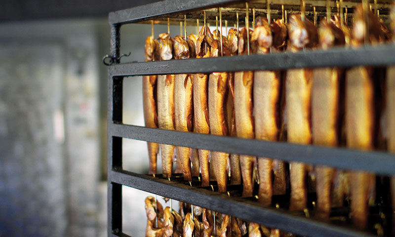 Angelpark Mohnen Untermaubach