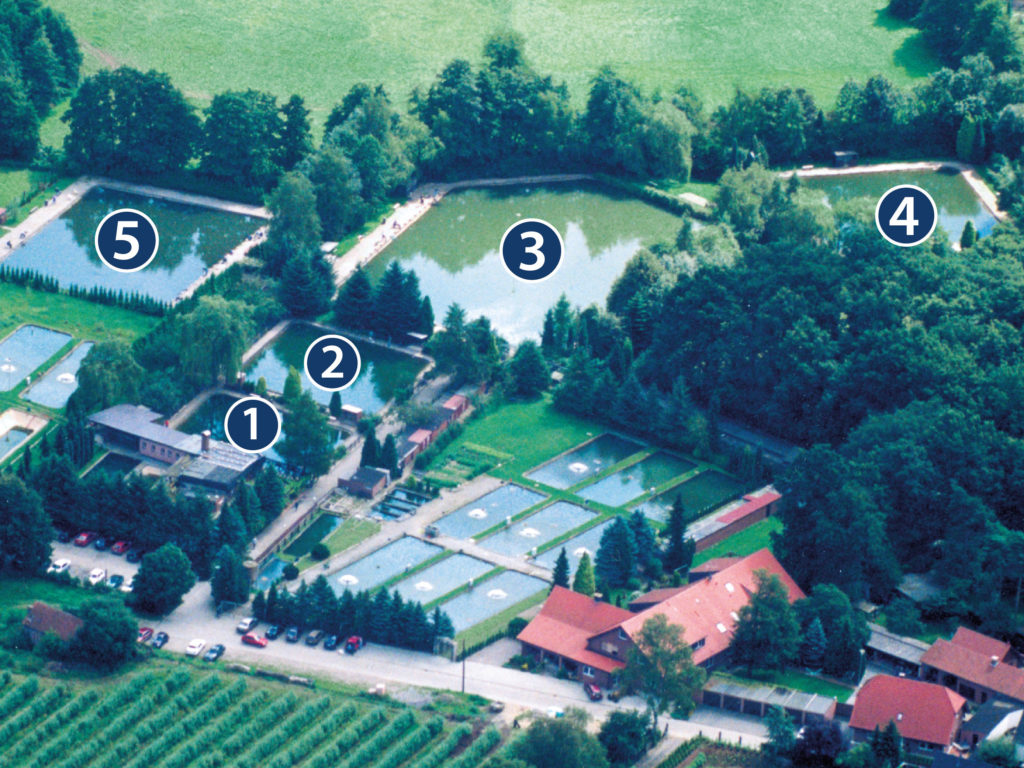 Angelparadies & Forellenzucht Schoel