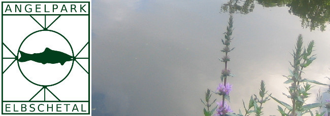 Angelpark Elbschetal