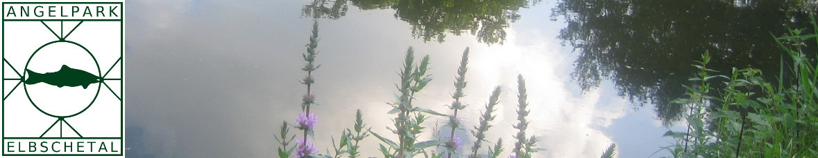 Angelpark Elbschetal