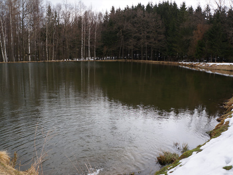 Forellen- und Lachszucht Ermisch Neustadt