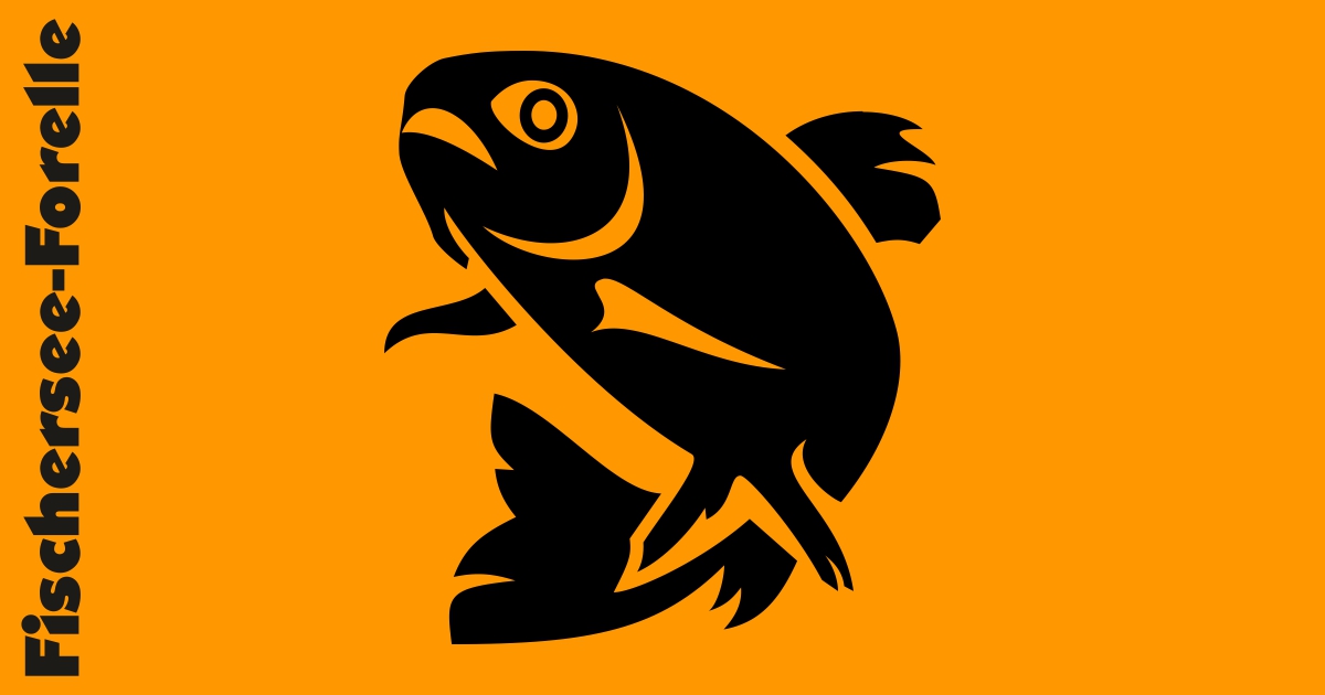 Fischersee-Forelle