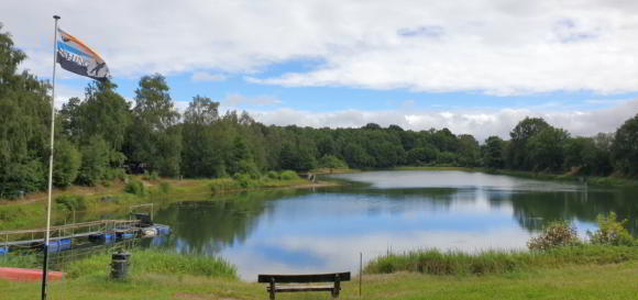 Fischersee-Forelle