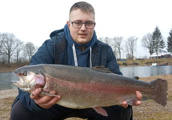 Fischersee-Forelle