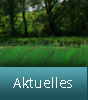 Uwes Angelsee