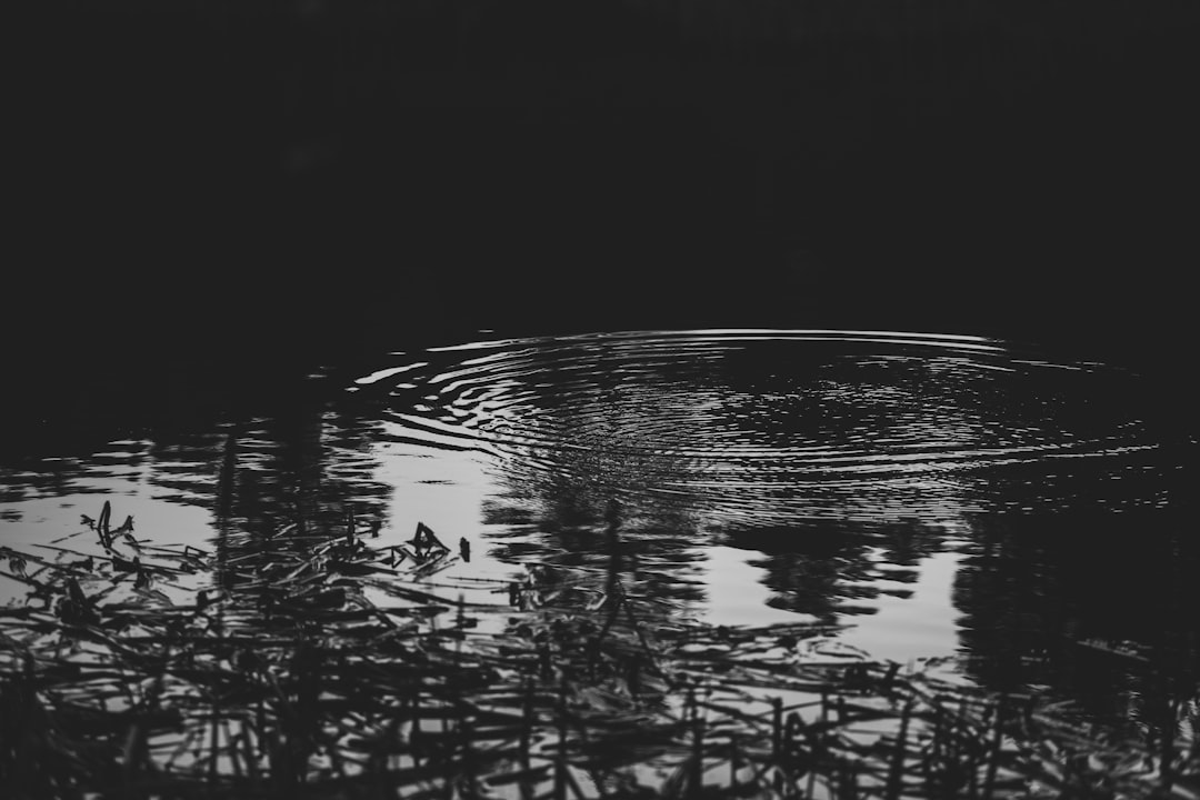 Angler am Forellensee